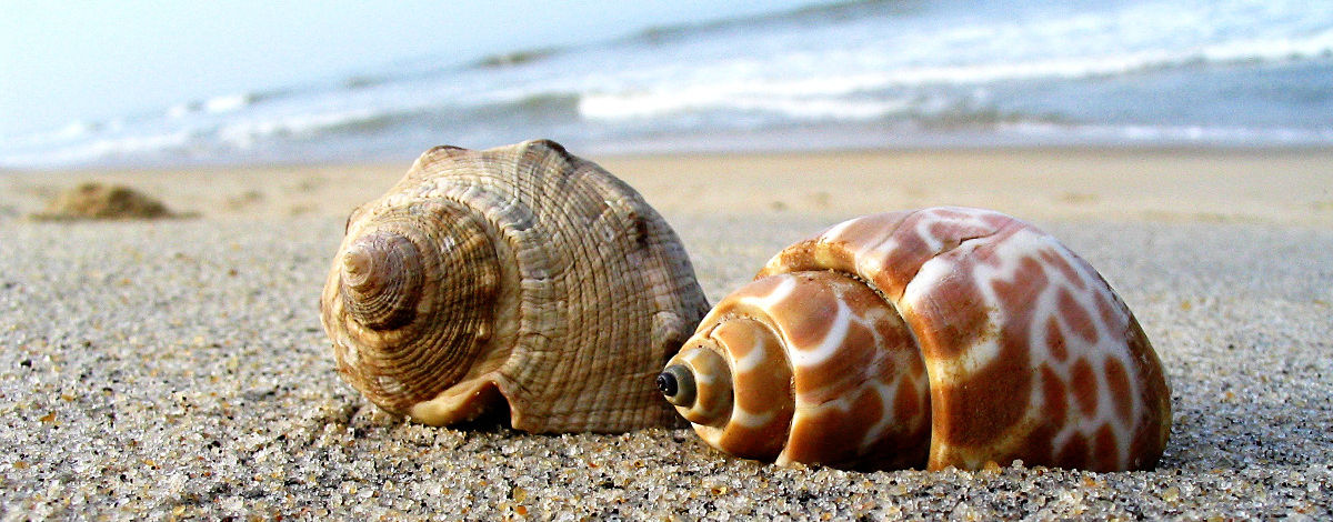 CockroachDB 클러스터 설치 스크립트